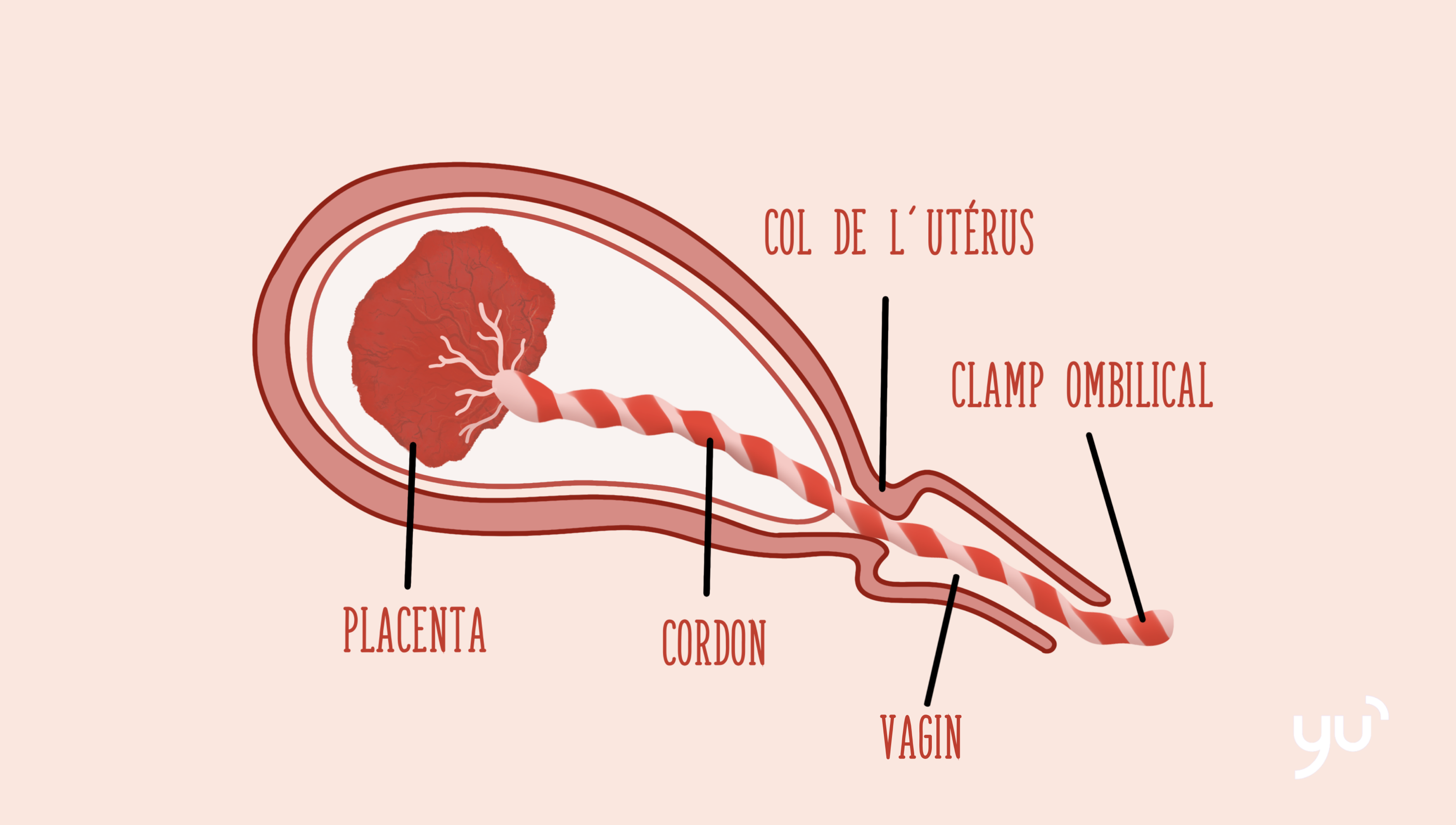 Qu’est-ce que la délivrance ?