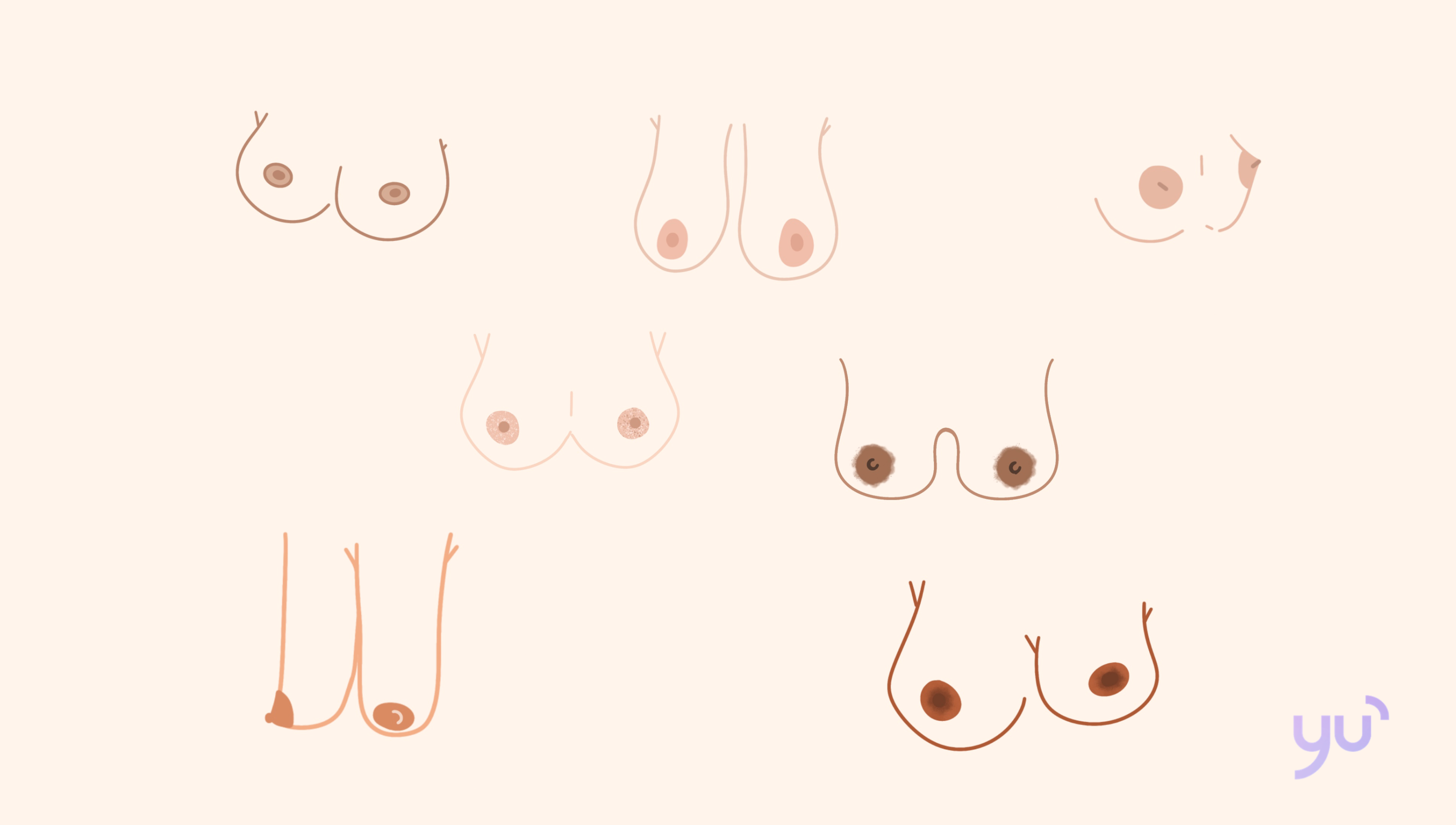 Les différents types de seins et de mamelons