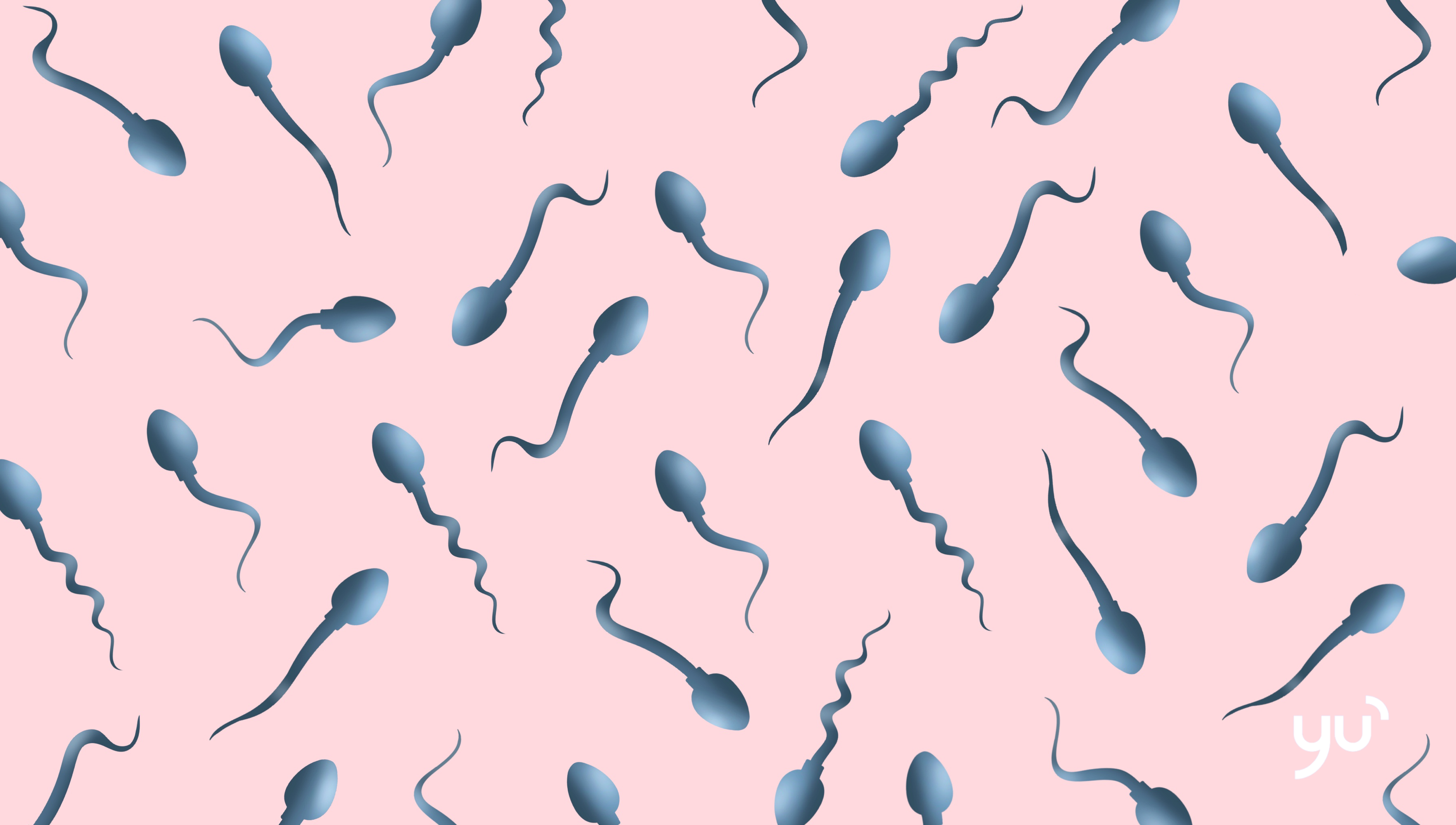 La qualité du sperme : ce qui constitue un spermogramme idéal