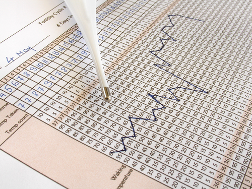 Méthodes de contraception naturelle : quelles sont les options disponibles ?