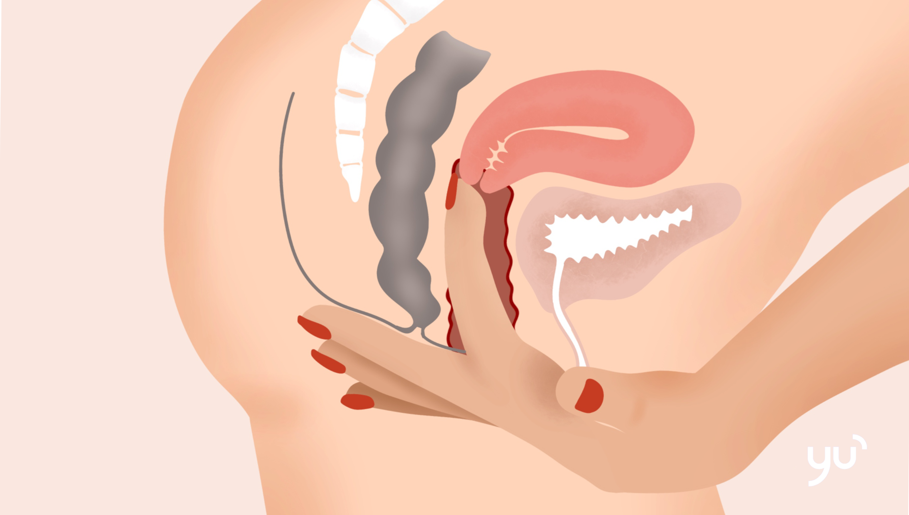 Comment trouver et sentir son col de l’utérus ?