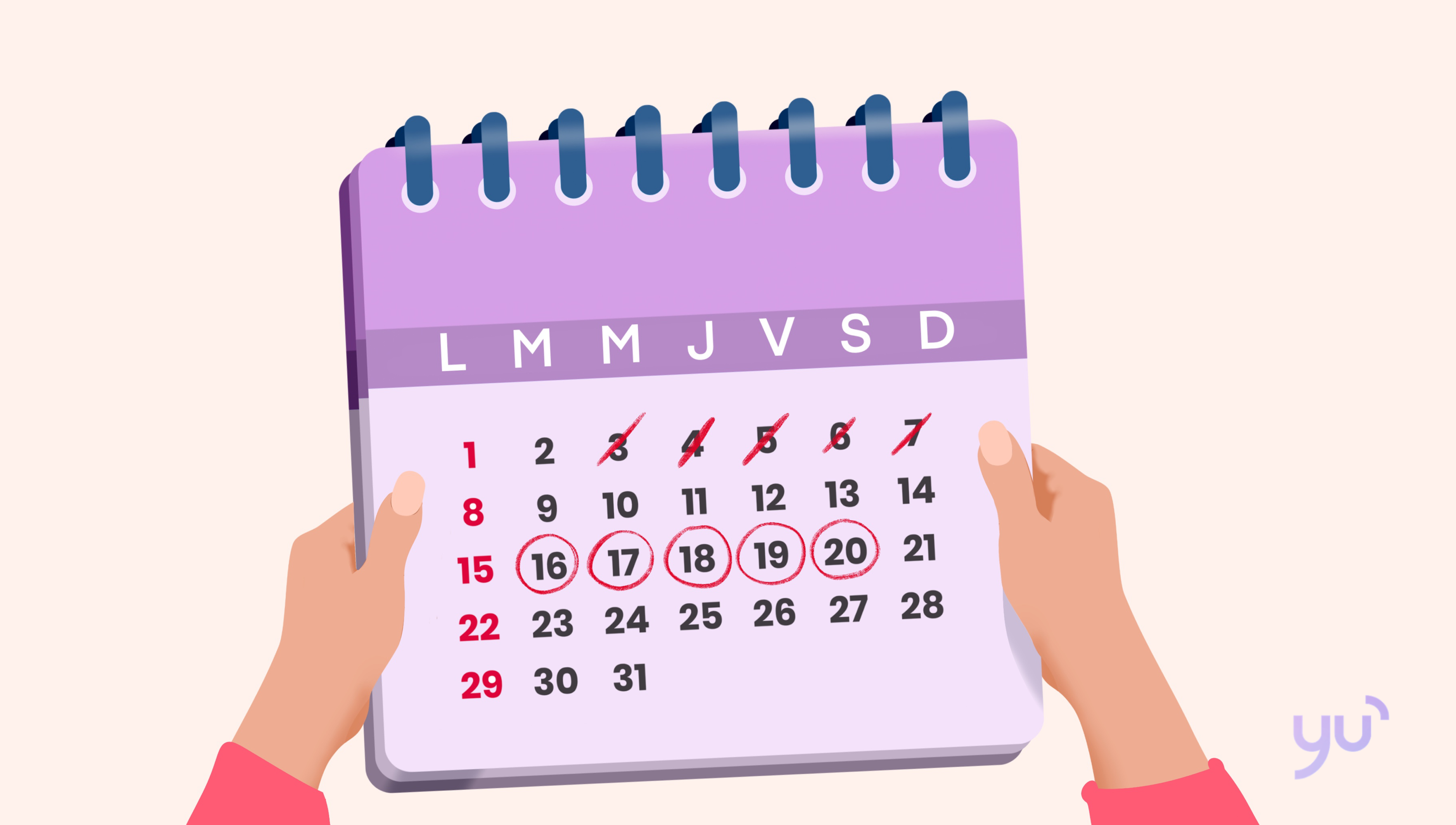 Le guide complet pour détecter l’ovulation