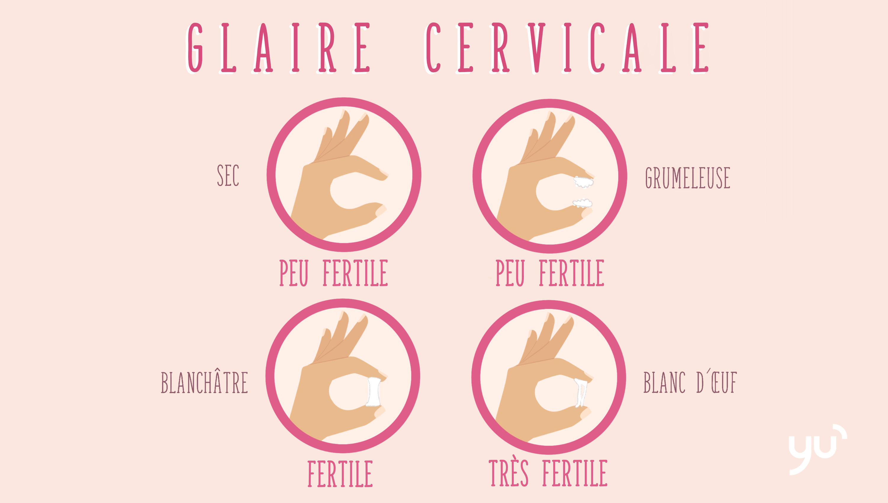 Le rôle de la glaire cervicale dans la conception