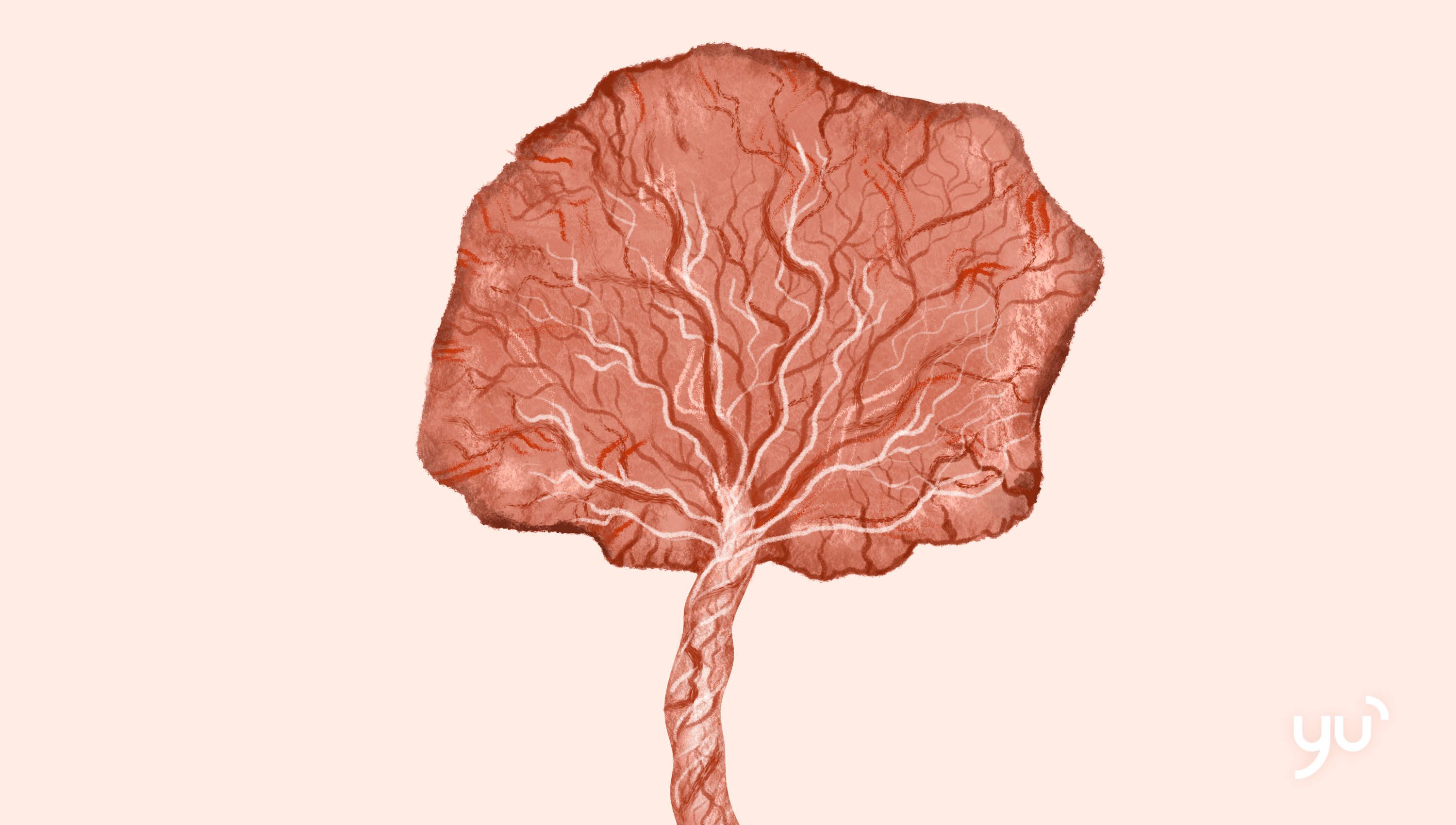 Comprendre le placenta : rôle et préservation de la santé