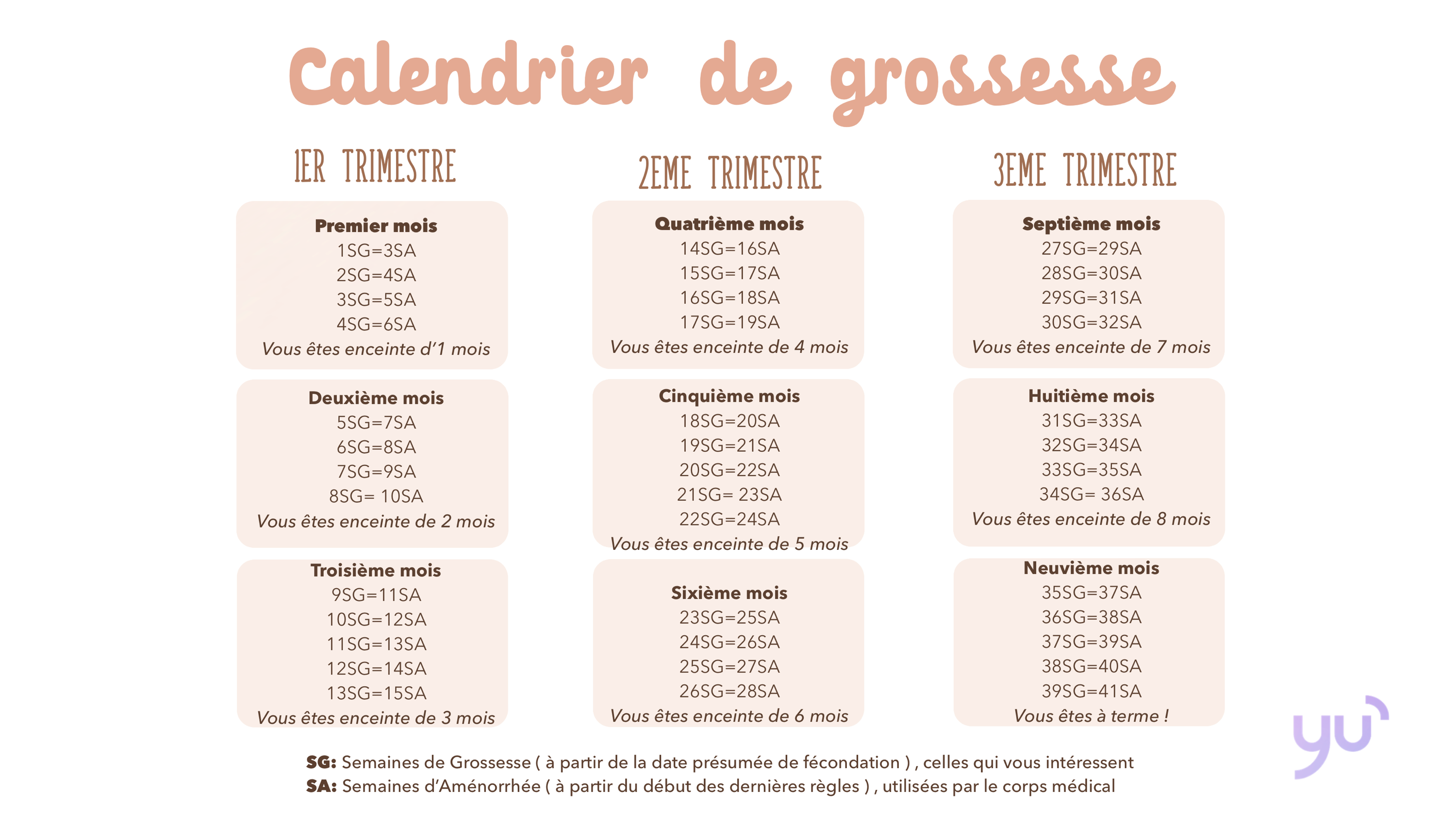 Comment les médecins calculent les semaines de grossesse ?