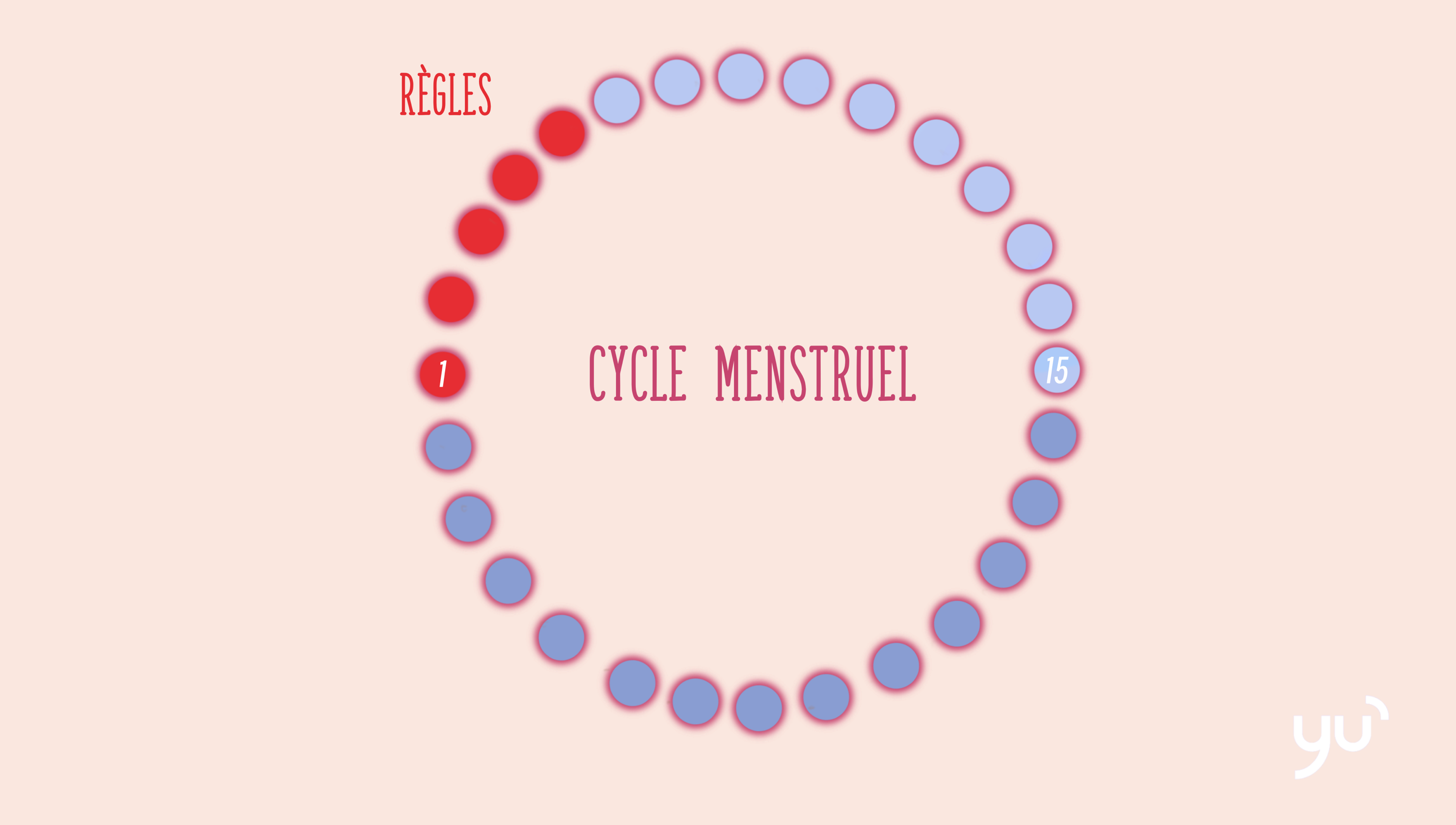 Quelle est la différence entre règles et cycle menstruel ?