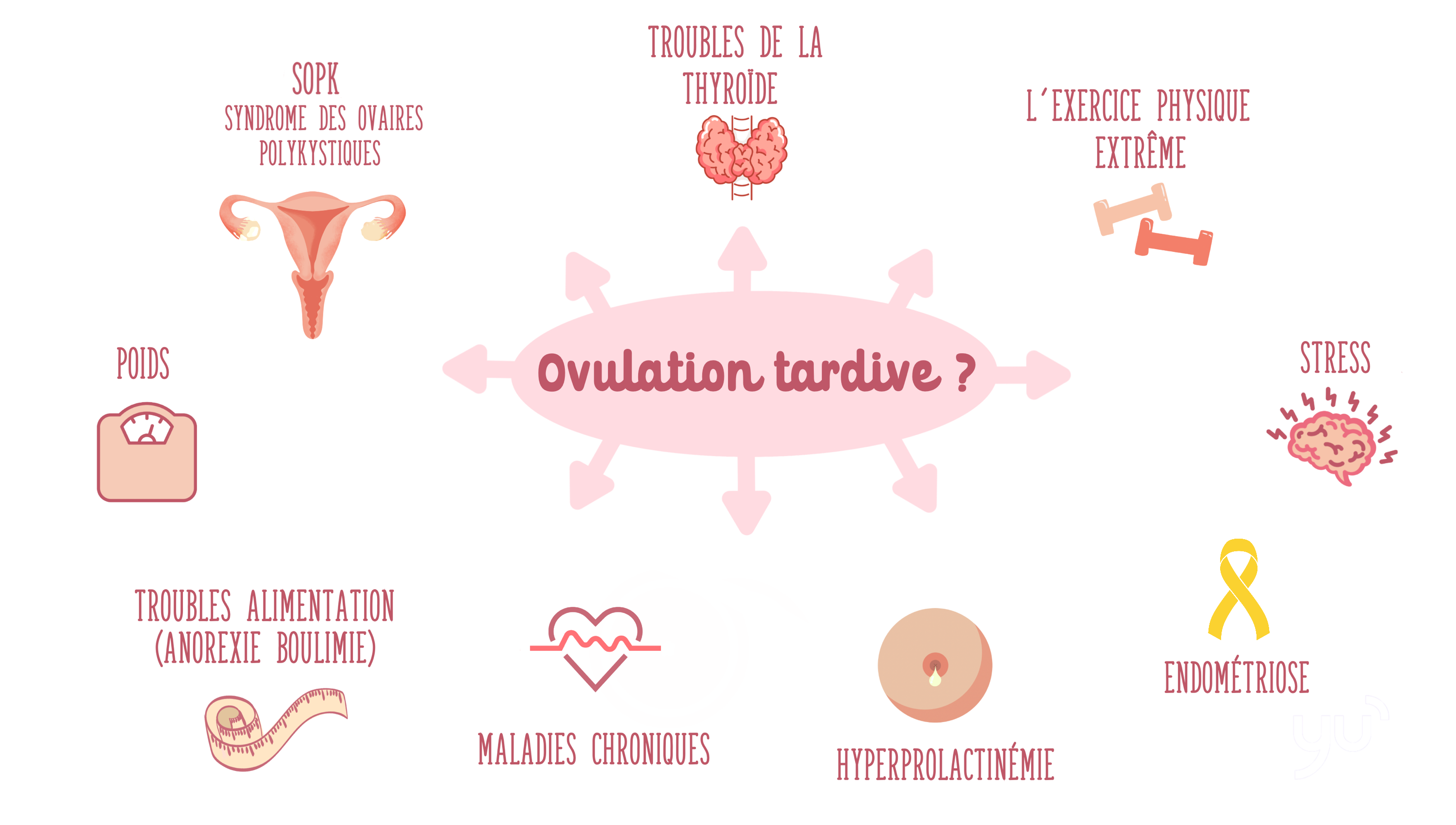 Ovulation tardive : quelles en sont les causes ?