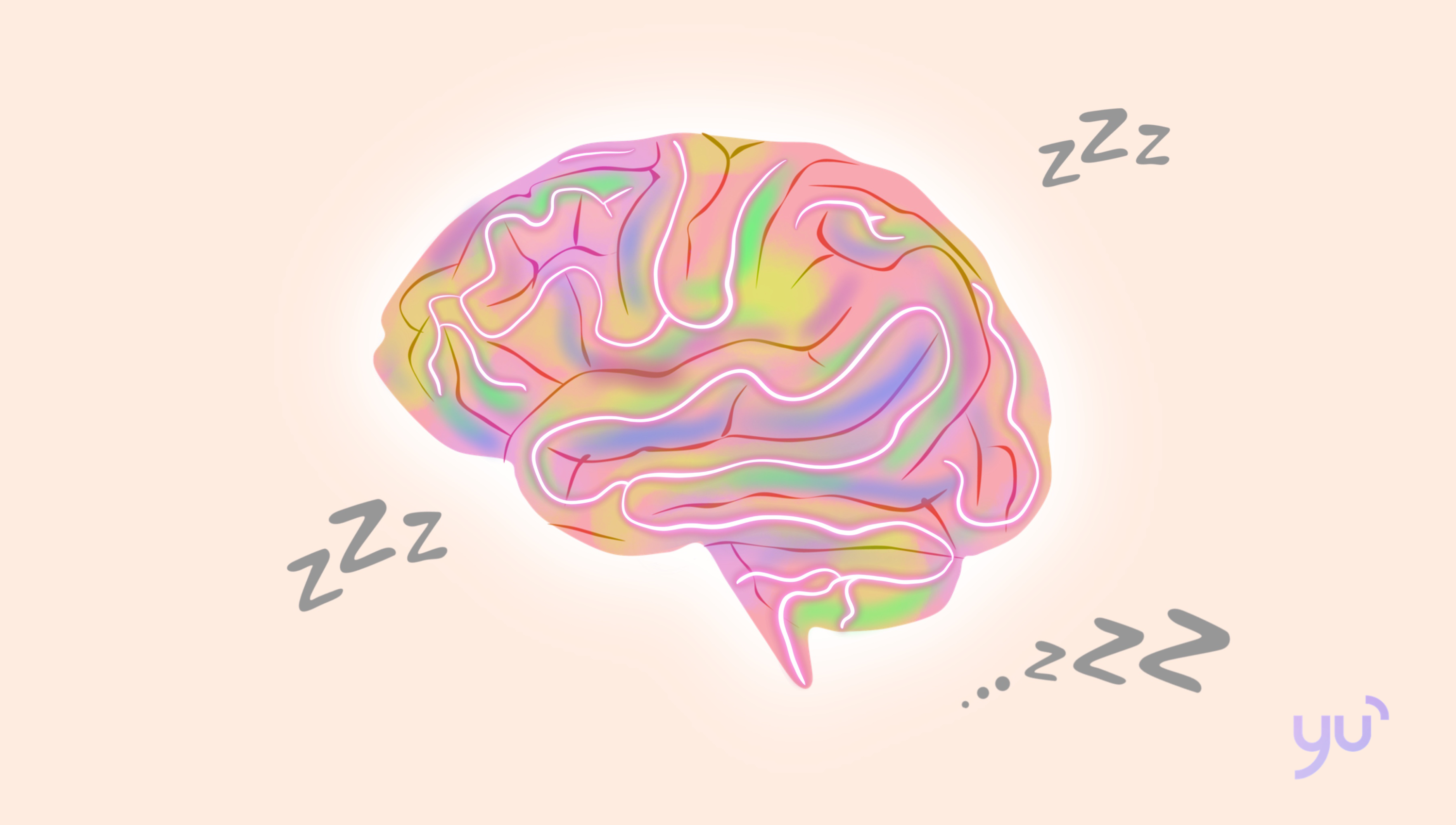Le cerveau reste-t-il actif pendant le sommeil ?