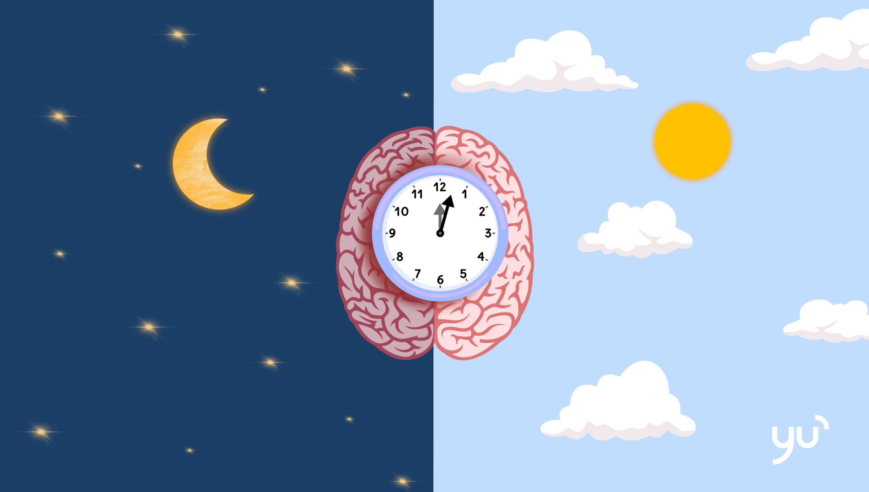 Votre rythme naturel : êtes-vous plutôt nocturne ou matinal ?