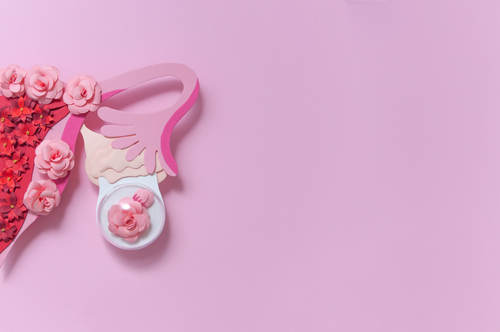 Les kystes ovariens expliqués : qu’est-ce que c’est ?