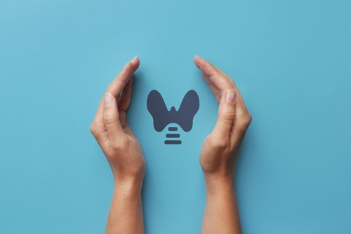 La thyroïde et son impact sur la reproduction féminine