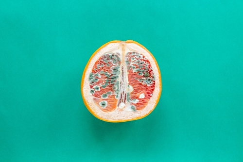 Vaginite : de la prévention au traitement