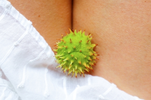 L’herpès : une infection sexuellement transmissible répandue