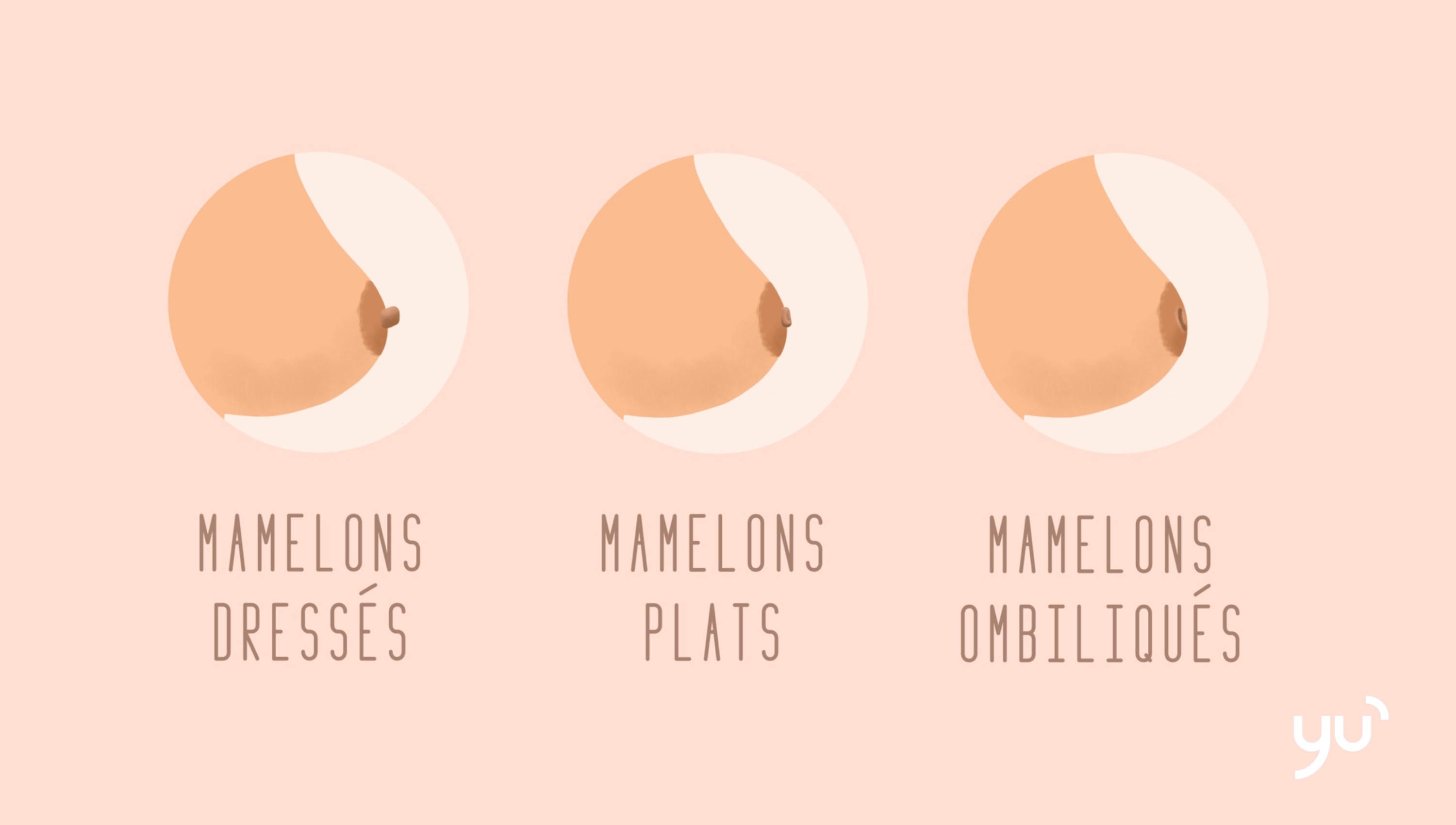 La beauté des mamelons féminins