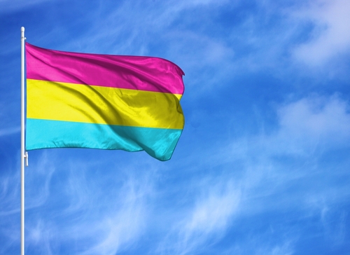 La pansexualité : une orientation sexuelle sans limites de genre